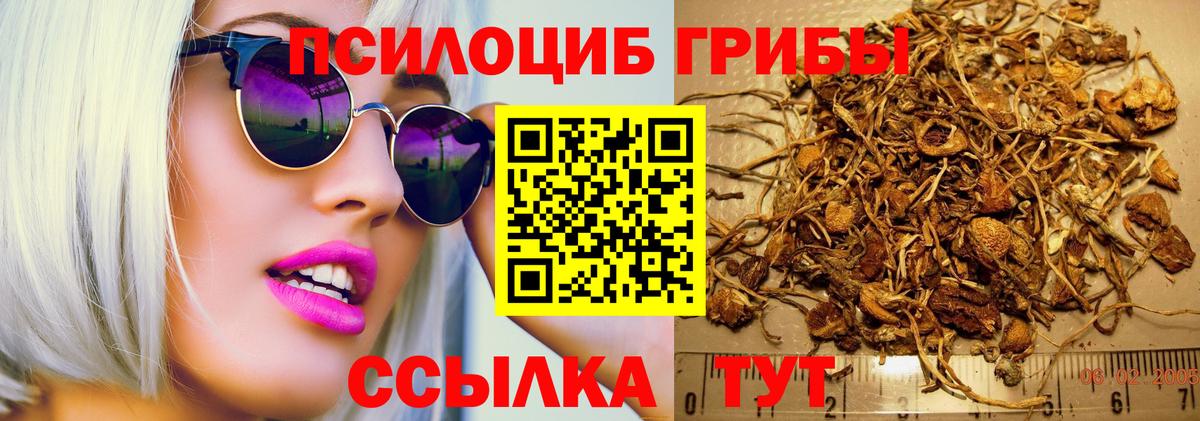 Галлюциногенные грибы прущие грибы Березники