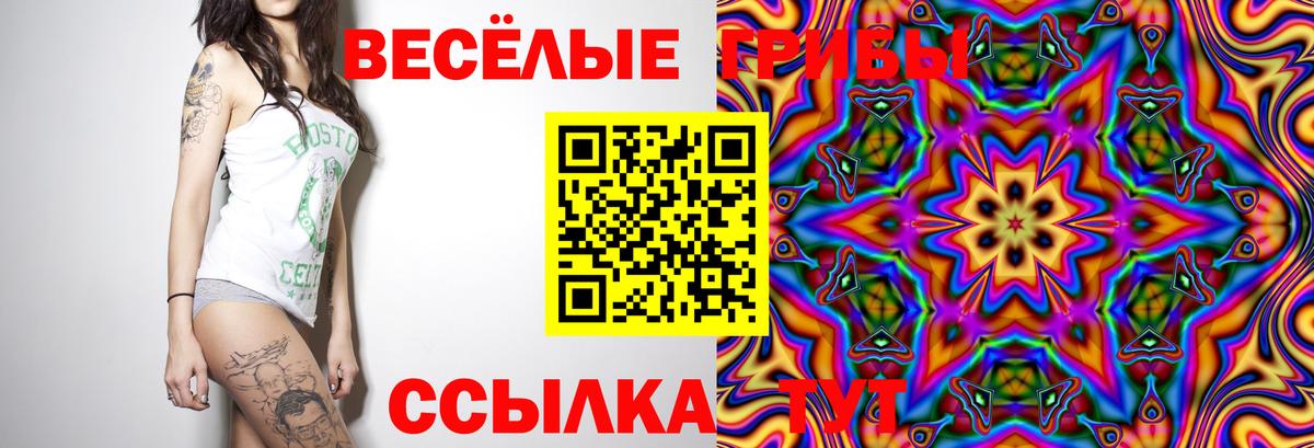 Псилоцибиновые грибы Psilocybe  Вход с VPN  Березники 